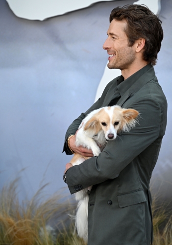 Click to view full size image