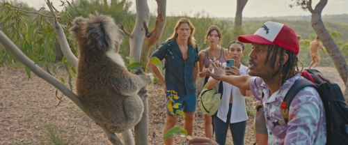 Click to view full size image