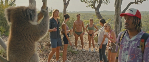 Click to view full size image